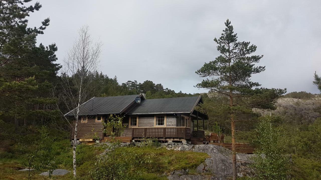 Molvik Hytten Villa Ostereidet ภายนอก รูปภาพ