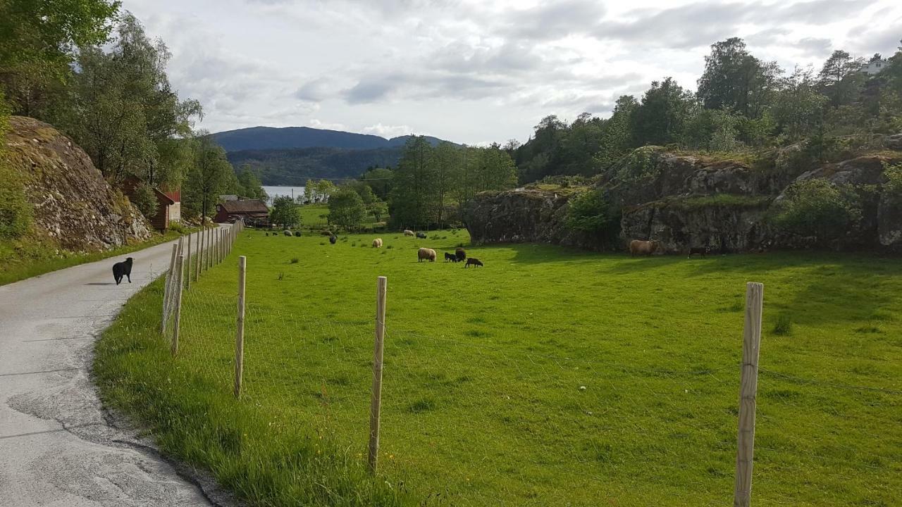 Molvik Hytten Villa Ostereidet ภายนอก รูปภาพ