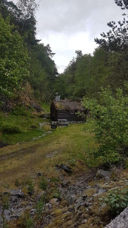 Molvik Hytten Villa Ostereidet ภายนอก รูปภาพ